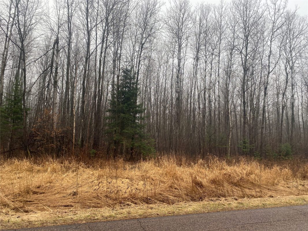 ON CTH I Ogema WI 54459 — photo 3