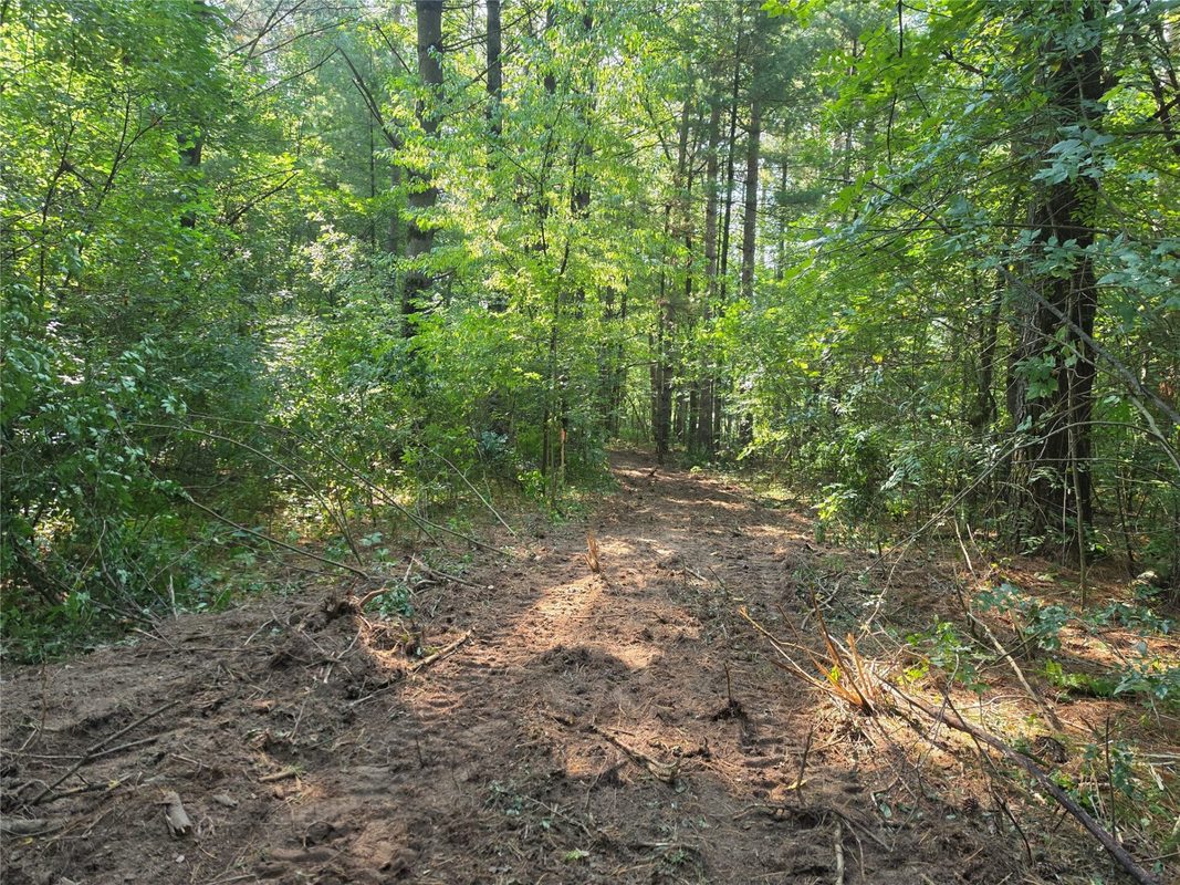 0 Country Road C Lot 1, Elk Mound WI 54739 - Land house for sale - MLS #1604589 - image11
