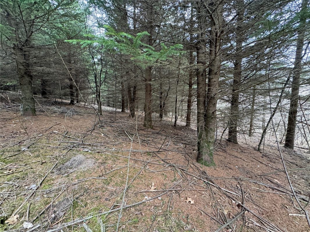 W1310 Earney Road, Alma WI 54610 - Residential house for sale - MLS #1604945 - image35