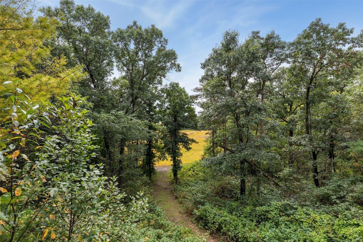 44243 Bye Nelson Road, Osseo WI 54758 - Residential house for sale - MLS #1605298 - image39