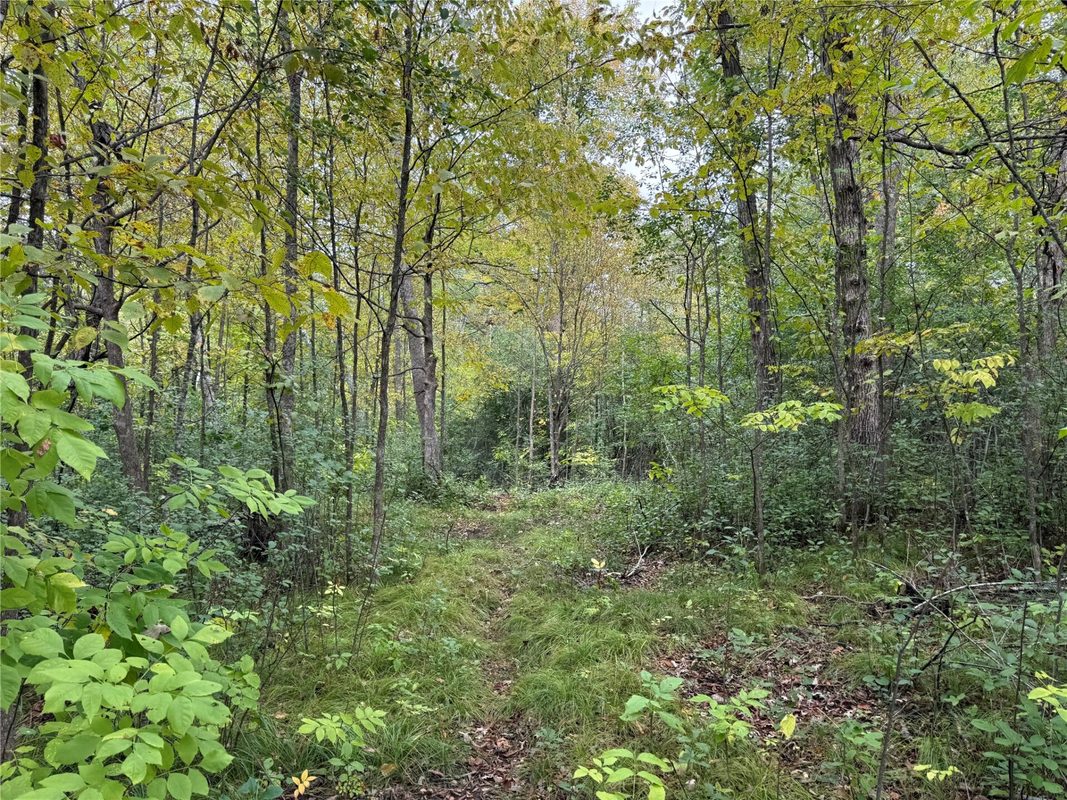 XXX 23 1/2 Street, Rice Lake WI 54868 - Land house for sale - MLS #1605312 - image15