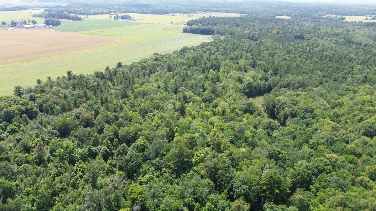 13743W State Highway 77, Hayward WI 54843 - Land house for sale - MLS #1603311 - image12