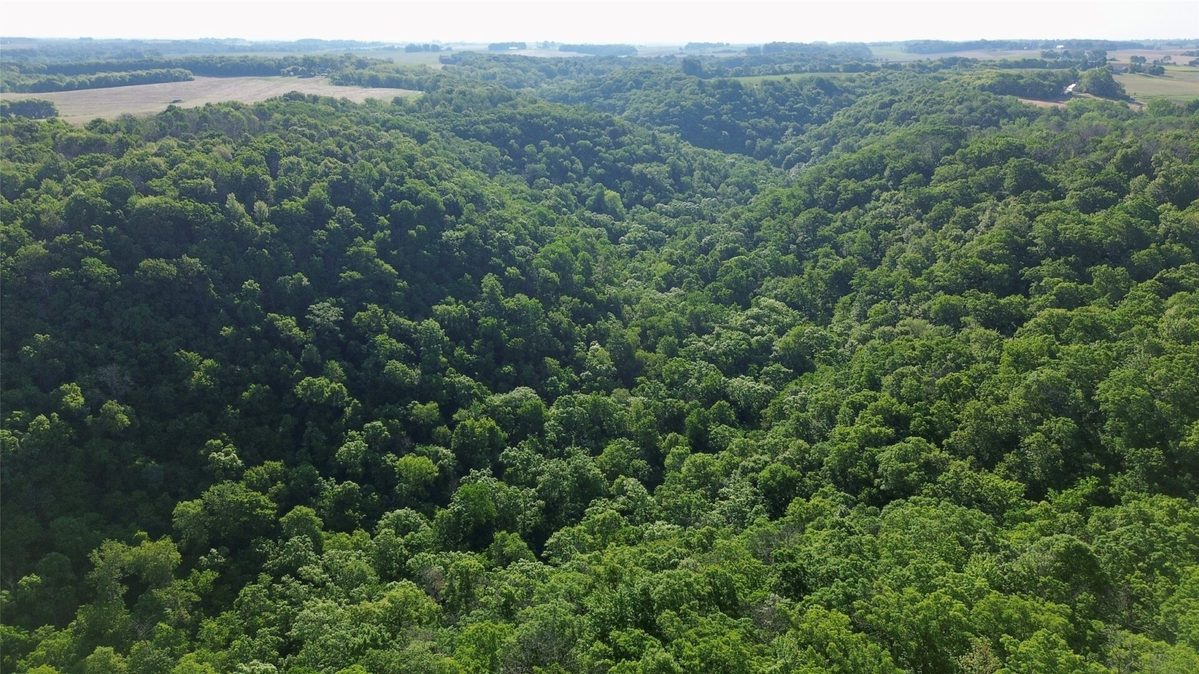 15.01 Acres 160th Avenue, Maiden Rock WI 54750 - Land house for sale - MLS #1604580 - image24