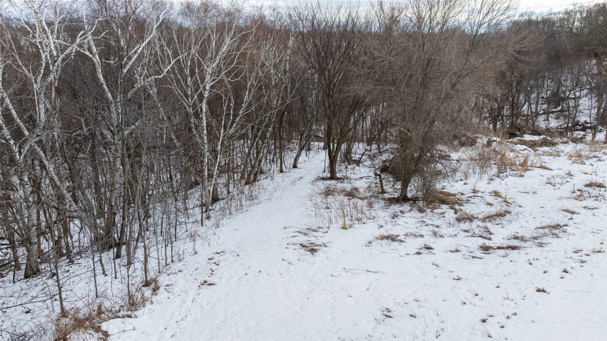 0 Maplewood Lane Alma WI 54610 — photo 19