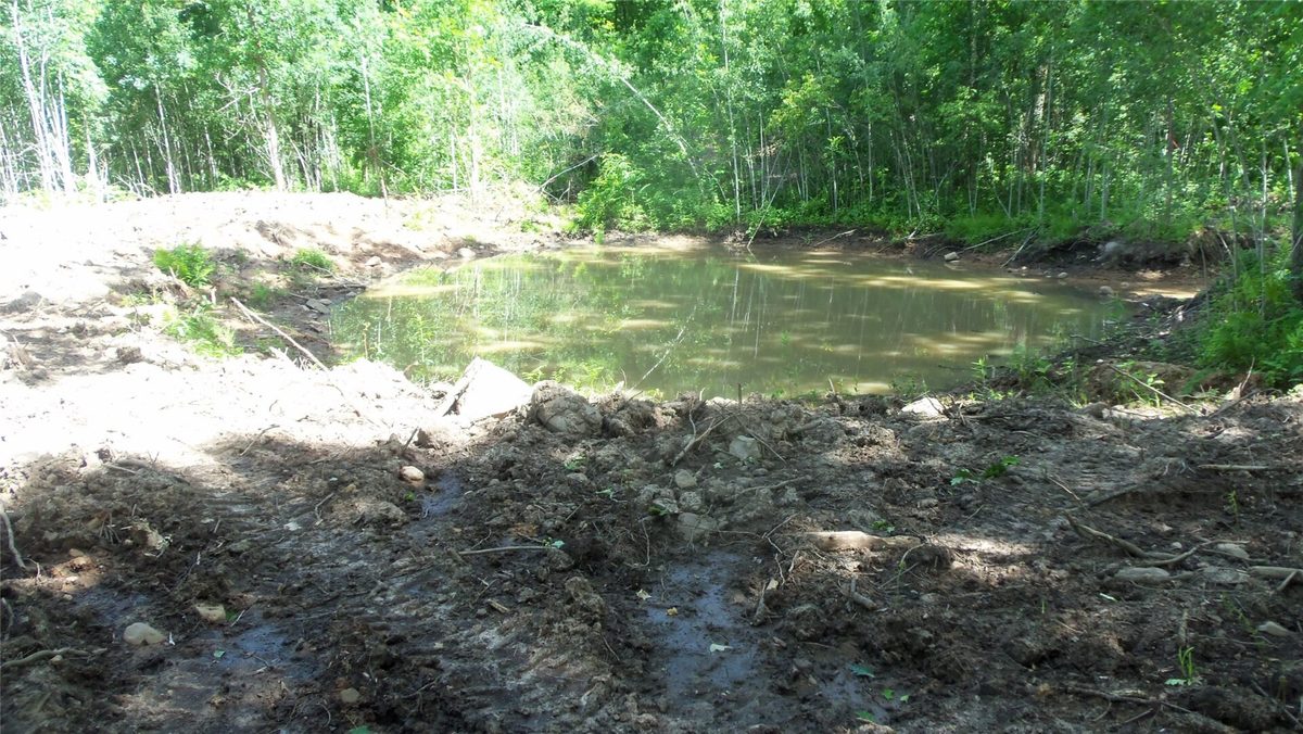 XXX Bashaw Store Road, Shell Lake WI 54871 - Land house for sale - MLS #1603494 - image11