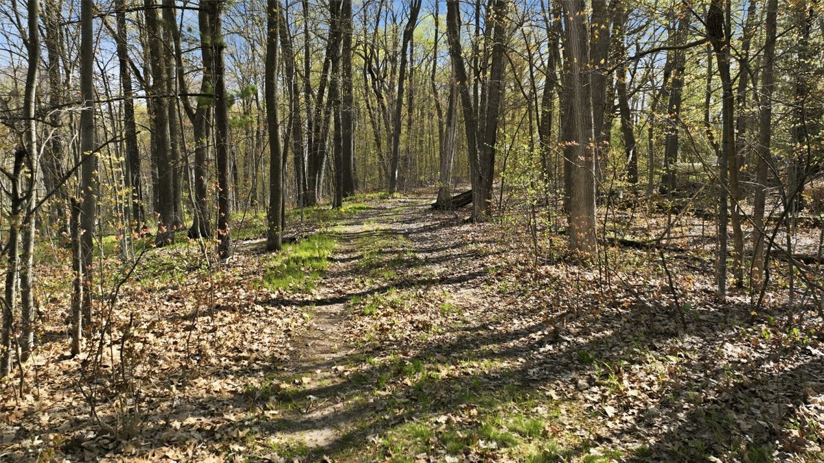 7369 Kroehler Lane, Hayward WI 54843 - Land house for sale - MLS #1596668 - image24