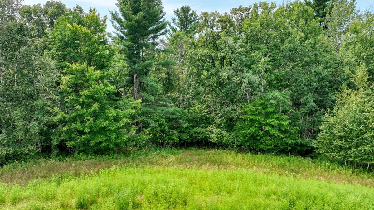 N1395 Grouse Road Sarona WI 54870 - image34