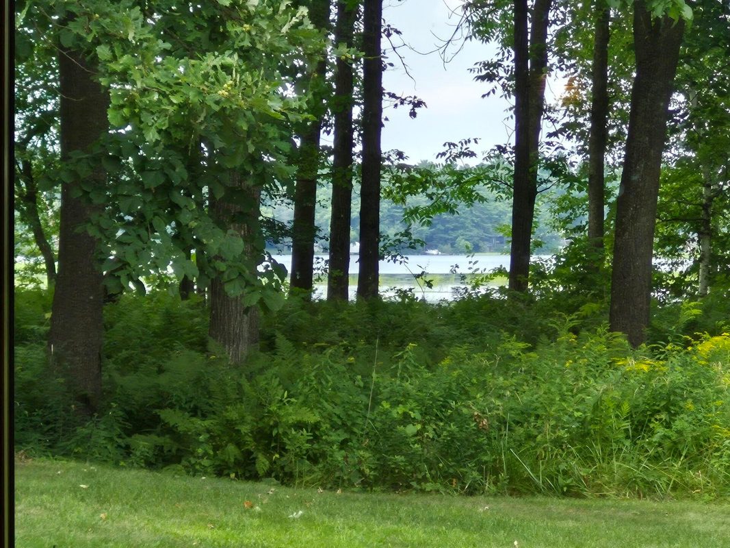 29308 305th Avenue, Holcombe WI 54745 - Residential house for sale - MLS #1604129 - image39