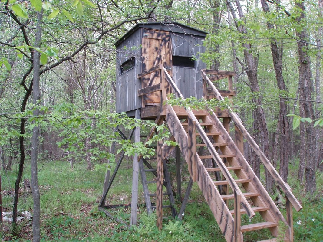 W9002 Moonshine Alley, Catawba WI 54514 - Residential house for sale - MLS #1601811 - image8
