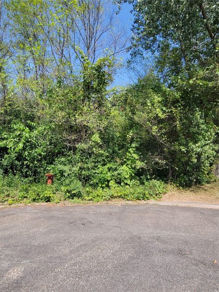 302 Arbor Hills Circle