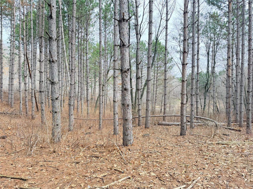 Lot 3 Big Lake Drive, Osceola WI 54020 - Land house for sale - MLS #1599897 - image7