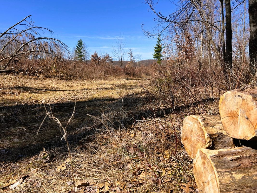 000 Pete Coulee Road, Taylor, WI — photo 20