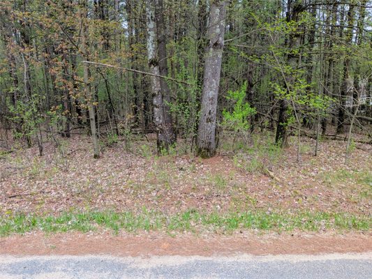 Vacant Lot 540th Street Menomonie WI 54751