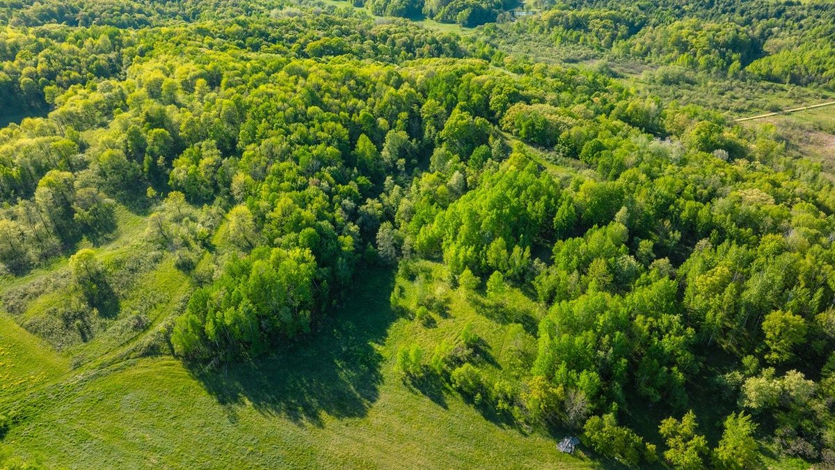 E3555 1120th Avenue, Boyceville WI 54725 - Land house for sale - MLS #1601582 - image16
