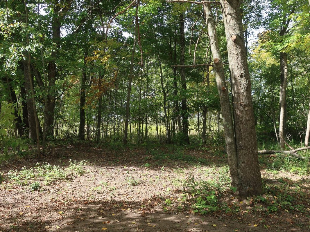 TBD Old 35, Siren WI 54872 - Land house for sale - MLS #1605520 - image6