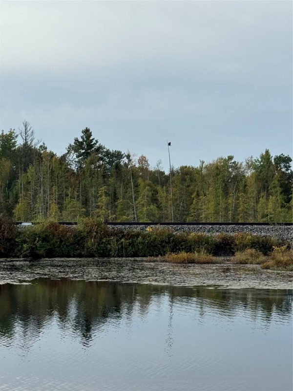 W15892 Old 14 Road, Weyerhaeuser WI 54895 - Land house for sale - MLS #1604192 - image8