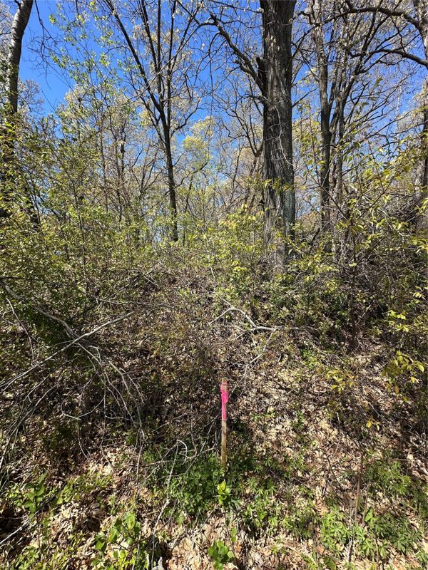1438 Pleasant Hill Road, Eau Claire WI 54703 - Land house for sale - MLS #1602766 - image27