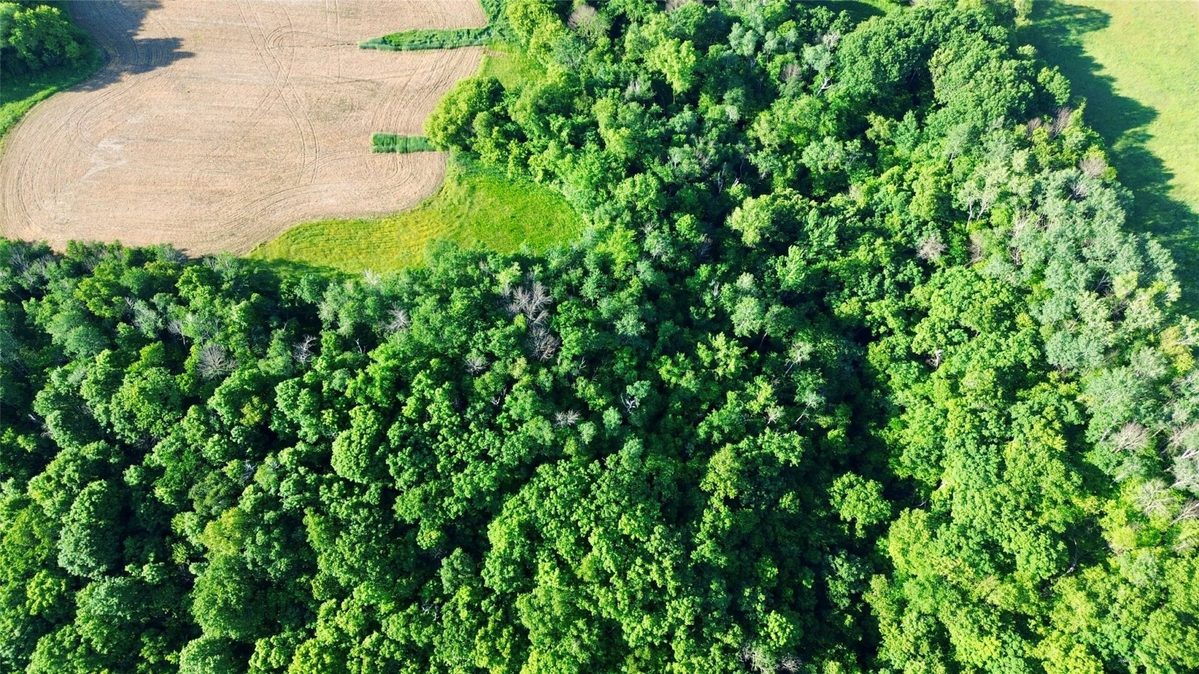 15.01 Acres 160th Avenue, Maiden Rock WI 54750 - Land house for sale - MLS #1604580 - image19