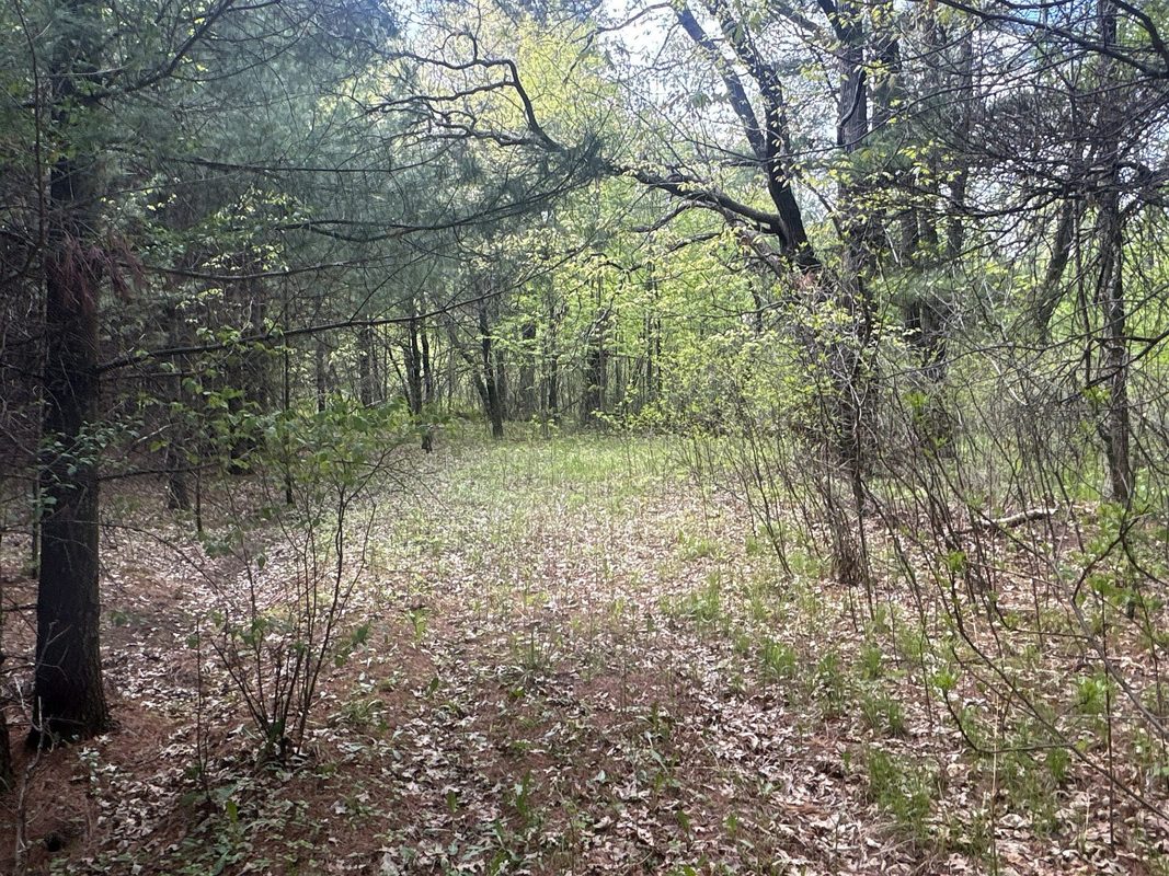 25275 Bruss Road, Webster WI 54893 - Land house for sale - MLS #1602158 - image21