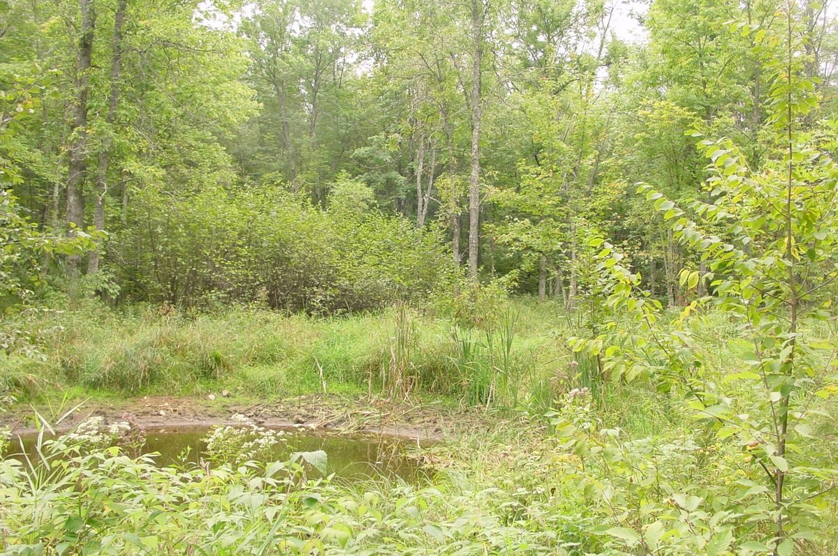 N5391 Hwy. 73, Ingram WI 54526 - Residential house for sale - MLS #1604886 - image26