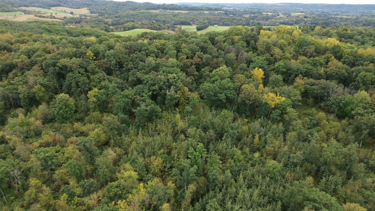 S828 Julson Ridge Road, Independence WI 54747 - Land house for sale - MLS #1605005 - image33