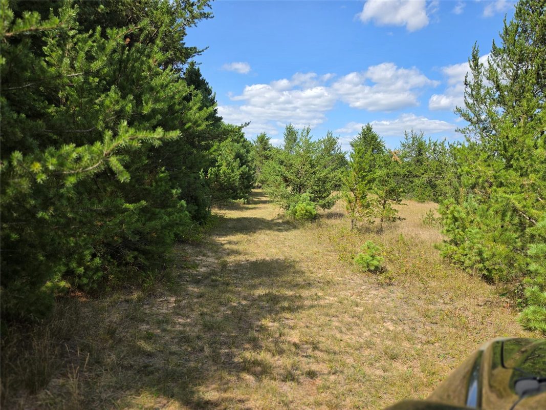 E19805 County Road GG, Augusta WI 54722 - Land house for sale - MLS #1602227 - image13