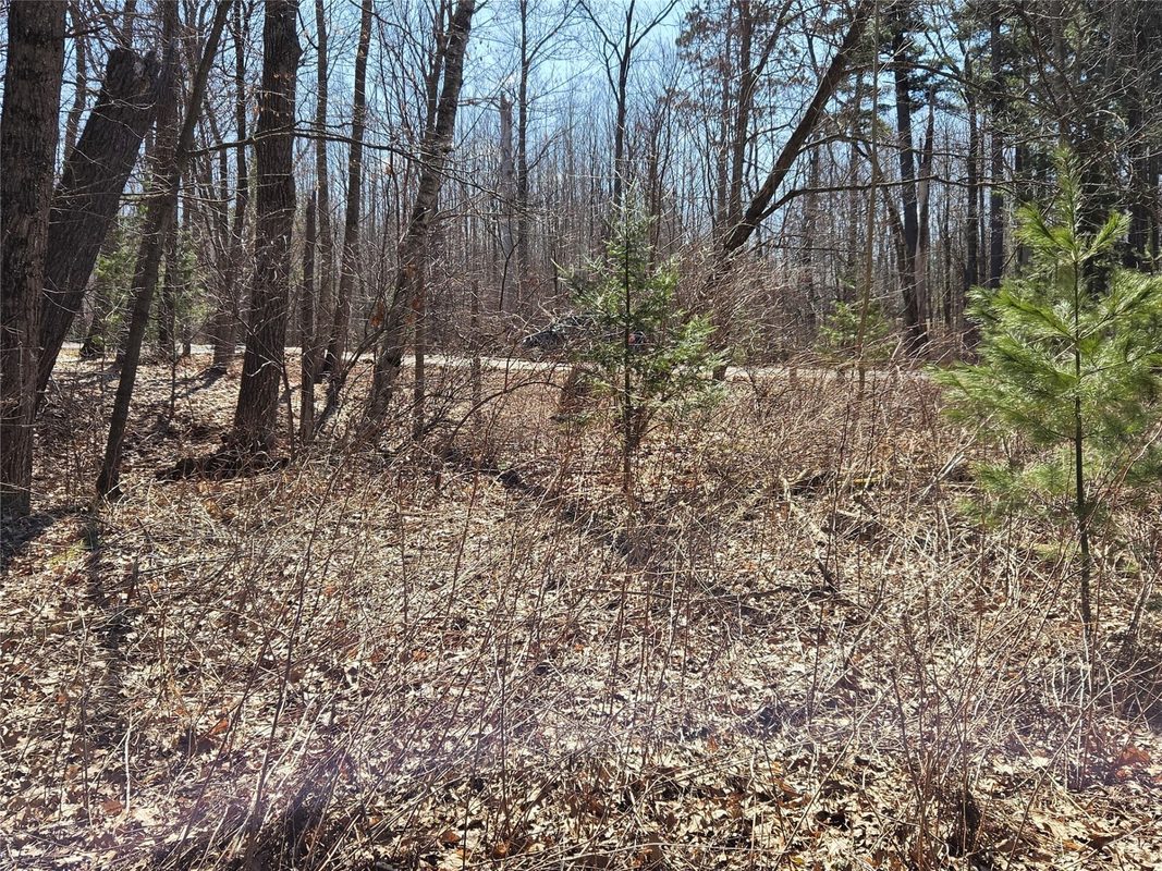 Lot 1 W South Shore Rd Hayward WI 54843 — photo 36