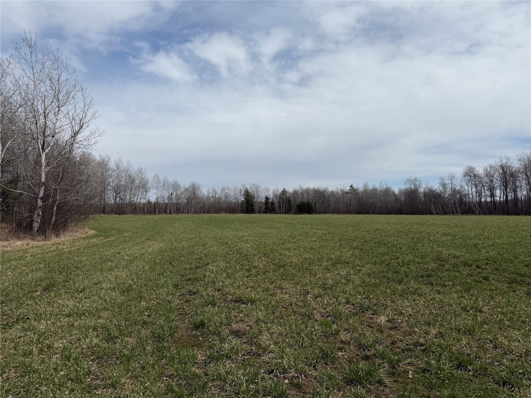 N4280 County Rd E, Bruce, WI — photo 27