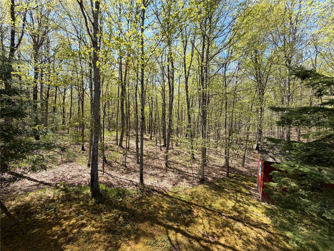 11263 Songbird Lane, Hayward WI 54843 - Residential house for sale - MLS #1600890 - image53