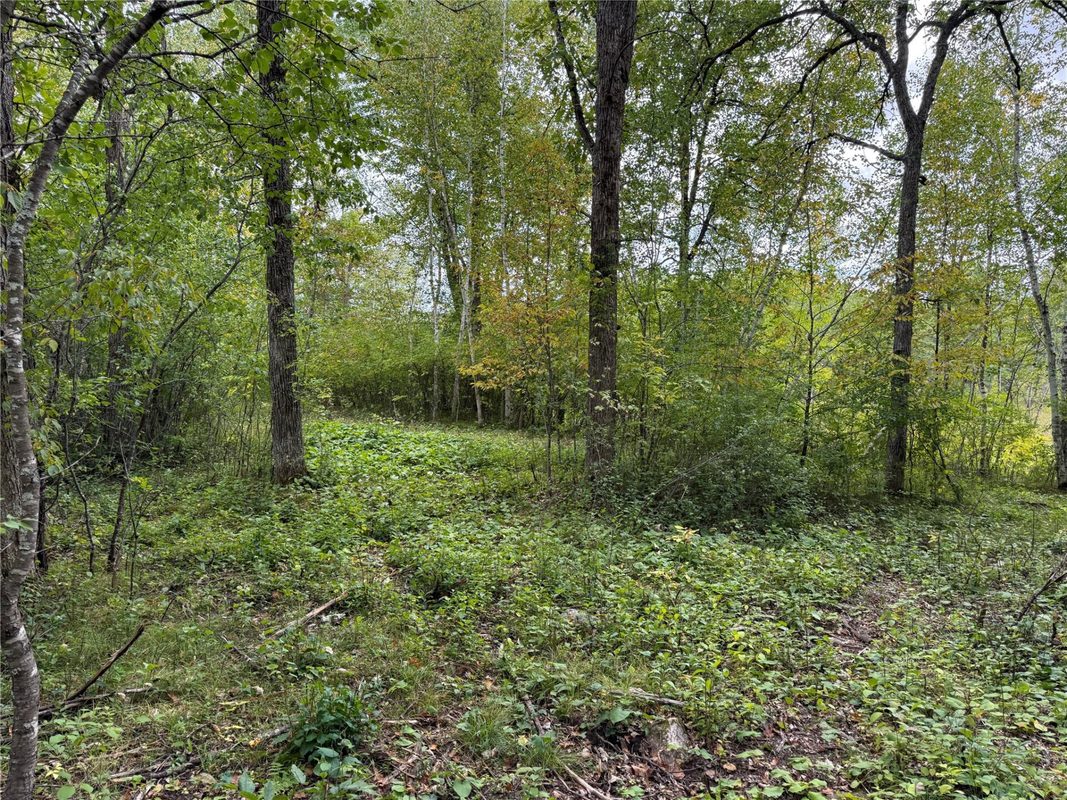 XXX 23 1/2 Street, Rice Lake WI 54868 - Land house for sale - MLS #1605312 - image10