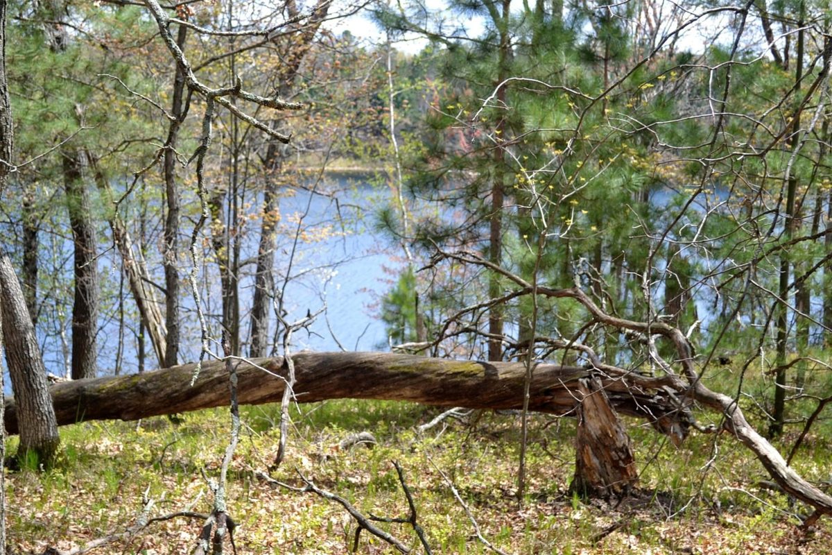 1391 Dock Lake Road, Spooner WI 54801 - Land house for sale - MLS #1601069 - image18