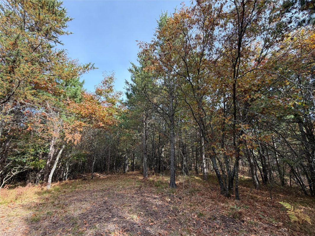 14375 Grell Road, Grantsburg WI 54840 - Land house for sale - MLS #1605788 - image5