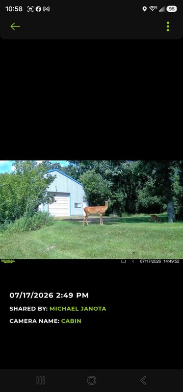 203 Dallas Street, Dallas WI 54733 - Residential house for sale - MLS #1600875 - image4