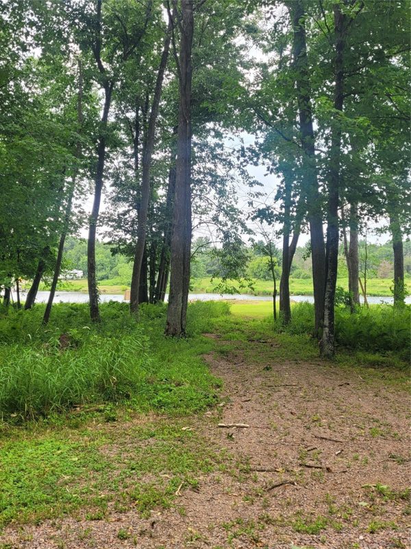 N899 Resewood, Neillsville WI 54456 - Land house for sale - MLS #1597252 - image20