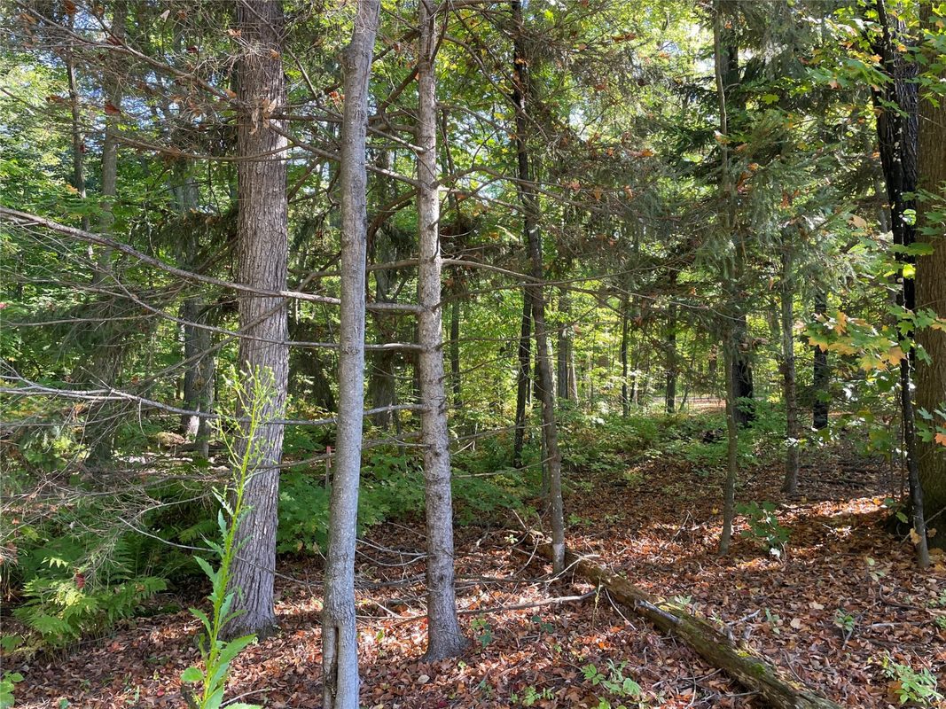 6073 Elsie Road, Stone Lake WI 54876 - Land house for sale - MLS #1602616 - image42