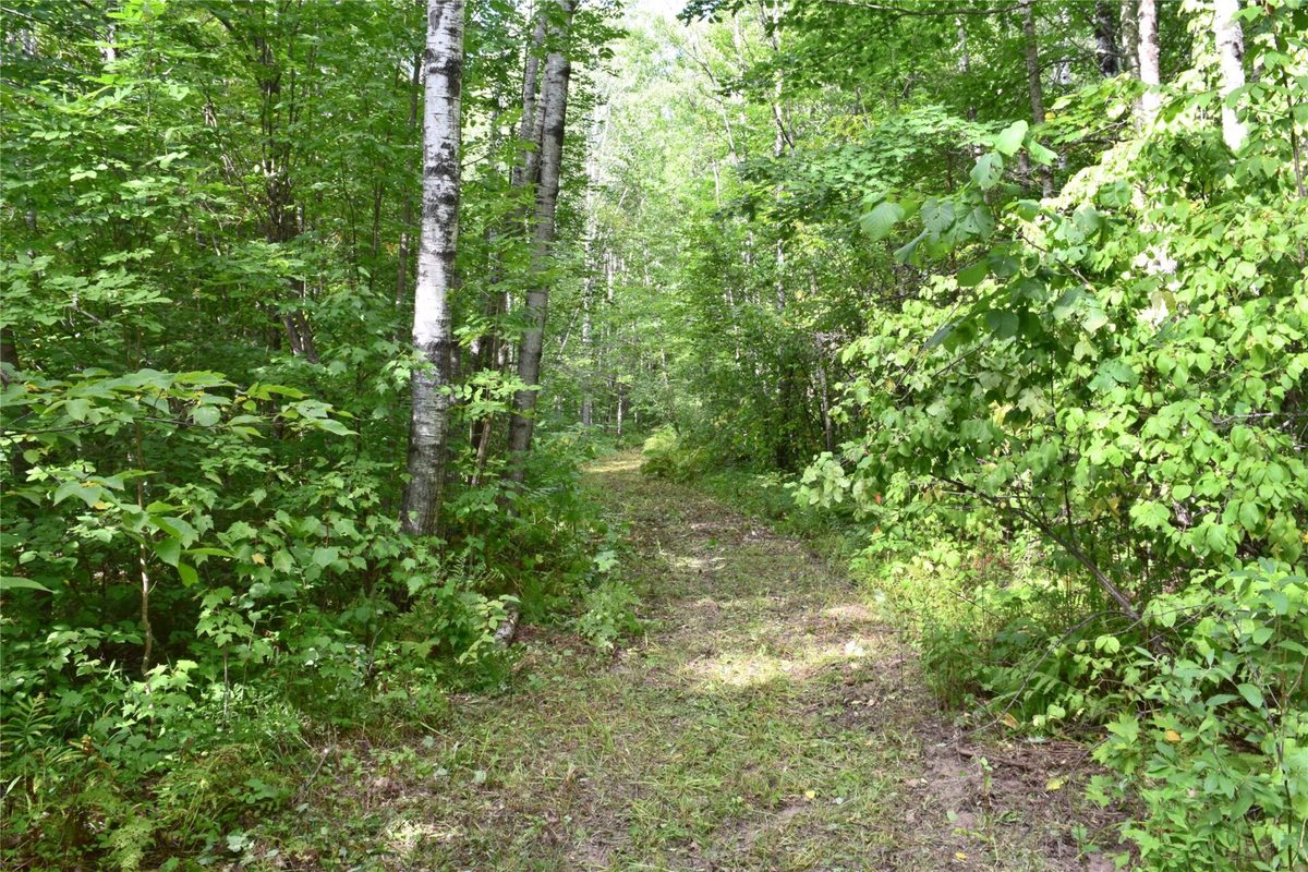 26615 Star Route Road, Bayfield WI 54814 - Land house for sale - MLS #1604800 - image40
