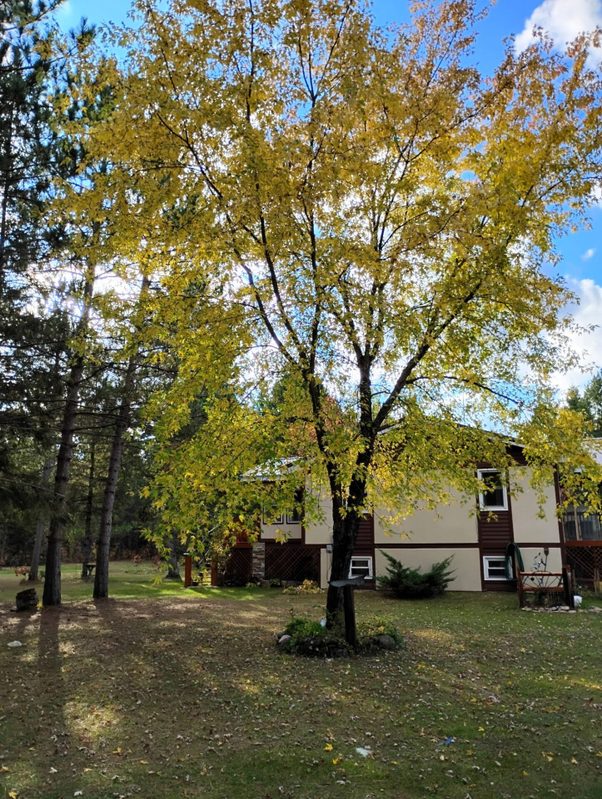 W3602 Willers Road, Springbrook WI 54875 - Residential house for sale - MLS #1602817 - image4