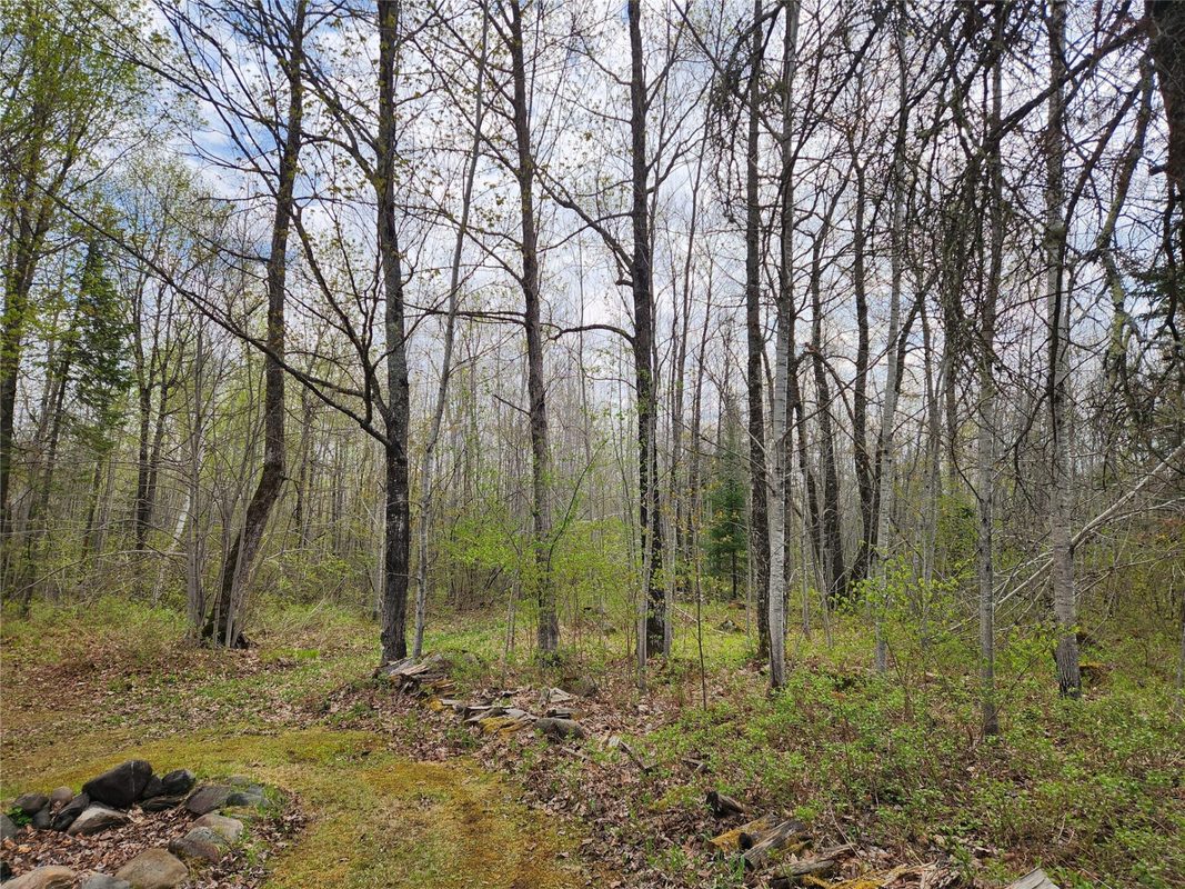 81289 East Side Fire Lane, Glidden WI 54527 - Residential house for sale - MLS #1601283 - image12