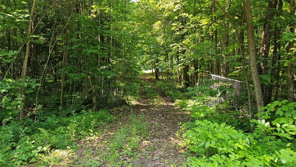 4687 Valesh Road, Couderay WI 54828 - Land house for sale - MLS #1602810 - image1