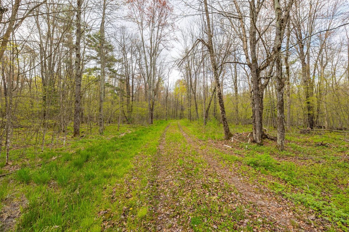 5807 Strom Road, Winter WI 54896 - Residential house for sale - MLS #1601343 - image12