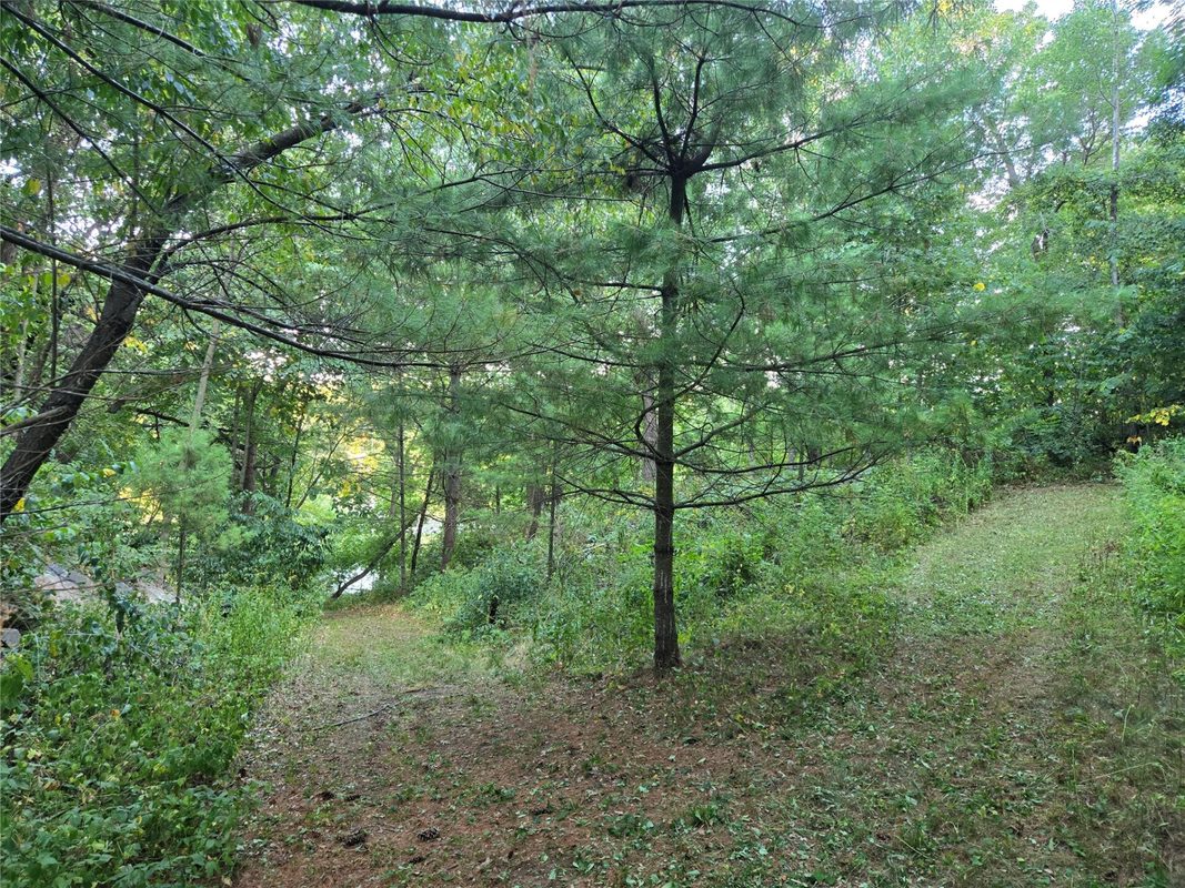 13719 191st Street, Chippewa Falls WI 54729 - Land house for sale - MLS #1604556 - image4