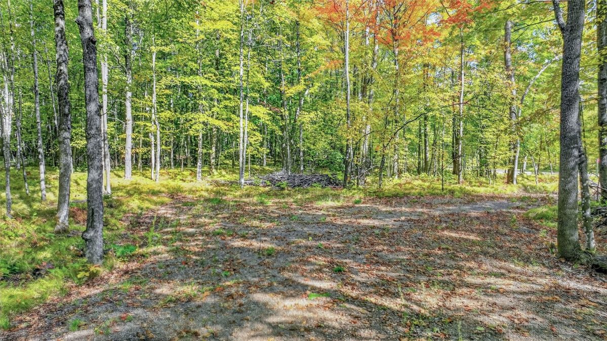 8087N Universal Drive, Winter WI 54896 - Land house for sale - MLS #1605404 - image6