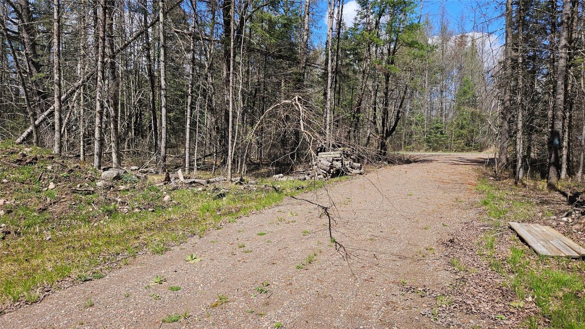12331 Delap Lane, Couderay WI 54828 - Land house for sale - MLS #1600596 - image7