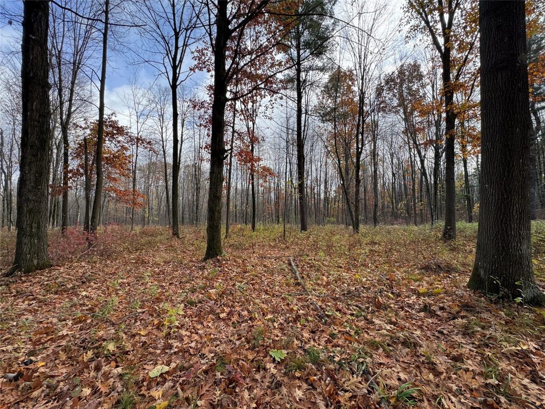 208220 Kane Lane, Mosinee WI 54455 - Land house for sale - MLS #1606074 - image6