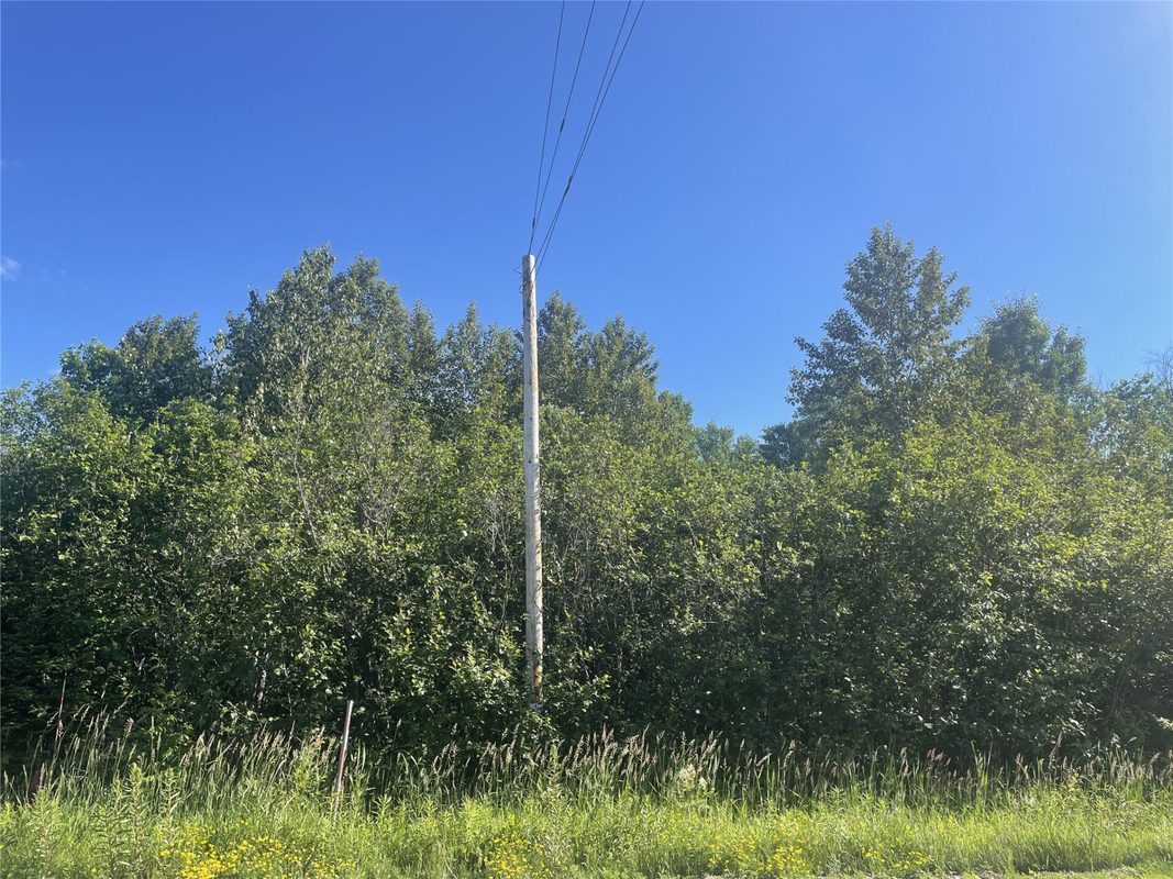 39+/- A on County Highway E, Iron Belt WI 54536 - Land house for sale - MLS #1602959 - image8