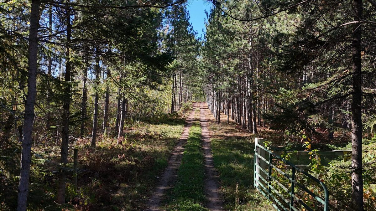 TBD BB Mann Road, Spooner WI 54801 - Land house for sale - MLS #1602853 - image4