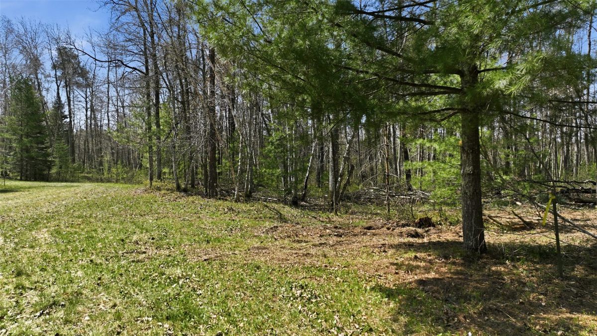 Lots 5 & 6 State Highway 70, Spooner WI 54801 - Land house for sale - MLS #1604806 - image9