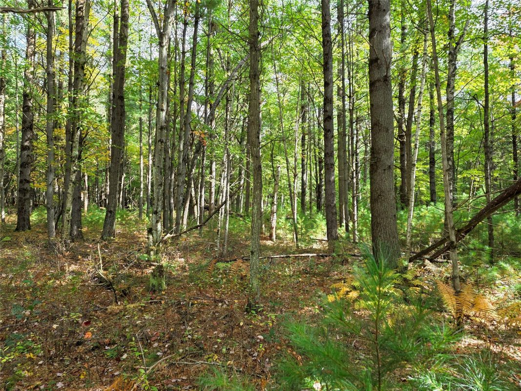S10130 County Road H, Fairchild WI 54741 - Residential house for sale - MLS #1605513 - image39