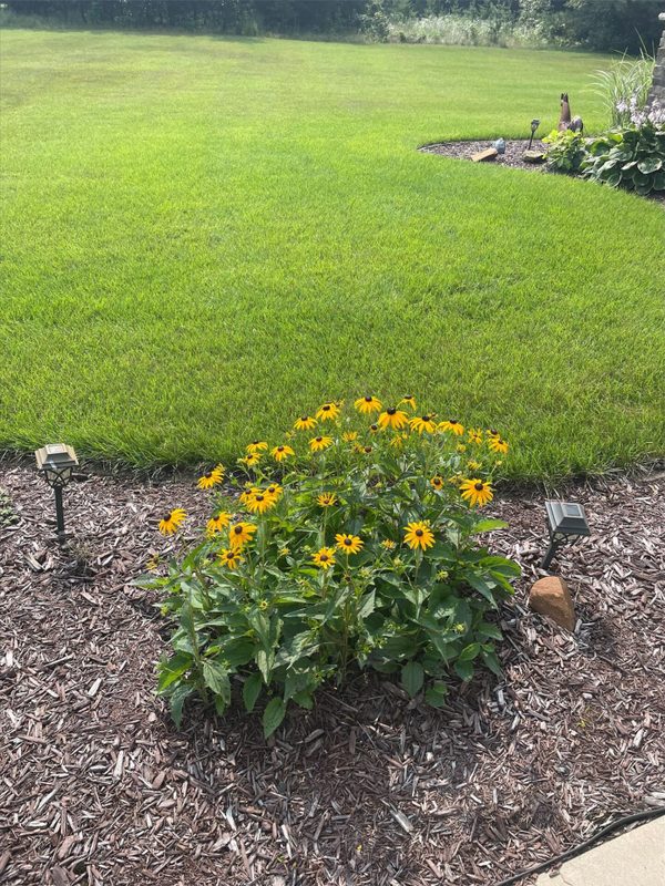 Residential at E3547 Pine Creek Road, Eleva, WI 54738 — photo 18