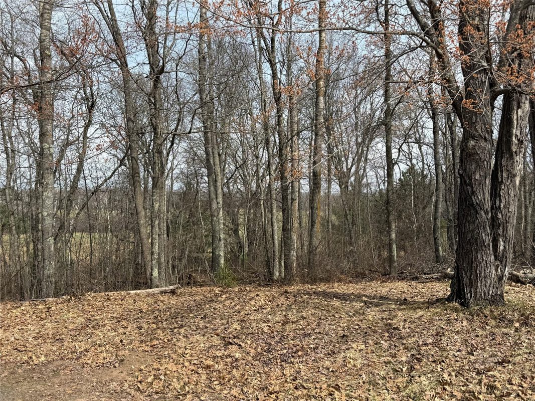 9410 Pine Lake Road, Iron River, WI — photo 30